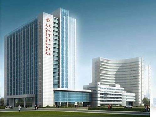 武汉中西医结合医院采购并安装国产365bet手机版器一台